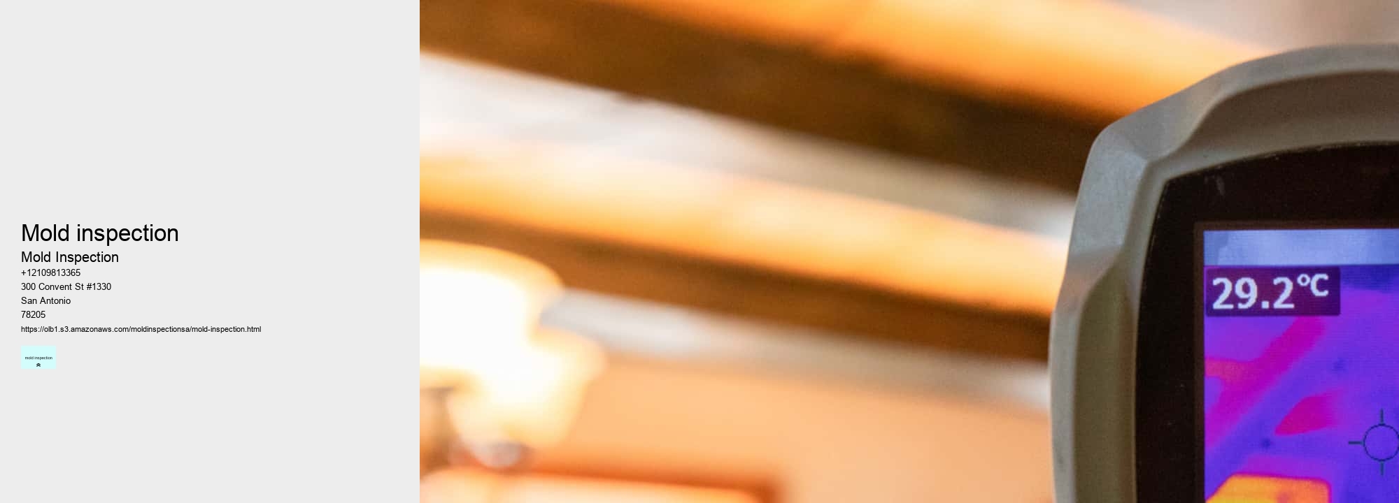 mold inspection company